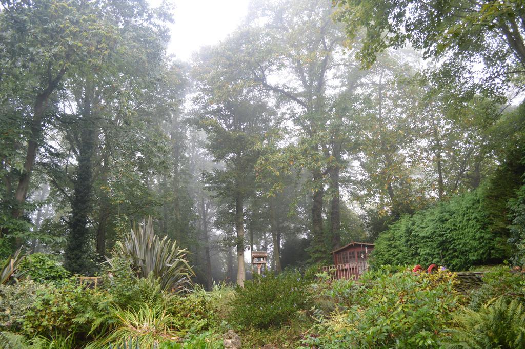 Thornybank Bed & Breakfast Cromer Exterior photo